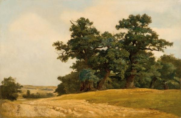  Landscape with oaks